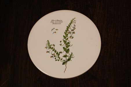 (n-7973/3) H & R Johnson Ldt, taimedega kuumaalus/ lõikelaud
