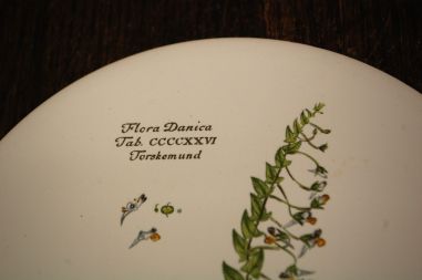 (n-7973/3) H & R Johnson Ldt, taimedega kuumaalus/ lõikelaud
