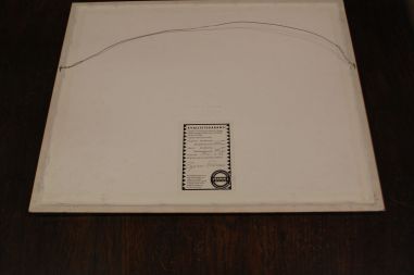 (n-7980) John Gould sarjast "Euroopa linnud", raamitud trükk "Pardid"