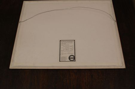 (n-7980) John Gould sarjast "Euroopa linnud", raamitud trükk "Pardid"