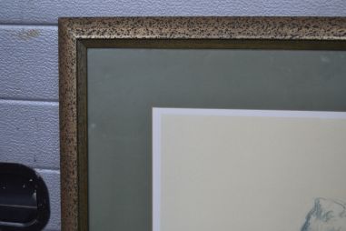 (n-8005) Raamitud trükirepro, akt