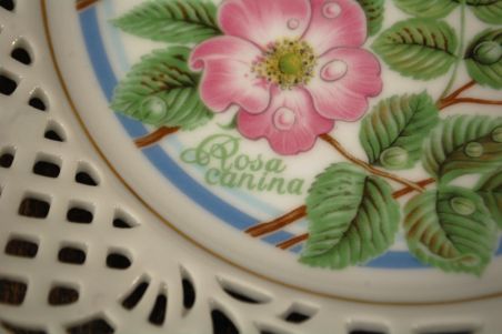 (n-8056/1) Bavaria Schumann Arzberg Tradition, kollektsioontaldrik "Kibuvits", nr8