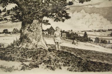 (P-1153) Viiralt, trükirepro Viljandi maastik