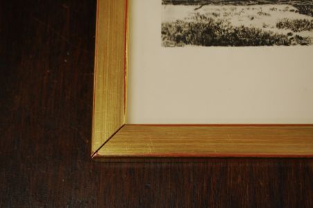 (P-1153) Viiralt, trükirepro Viljandi maastik
