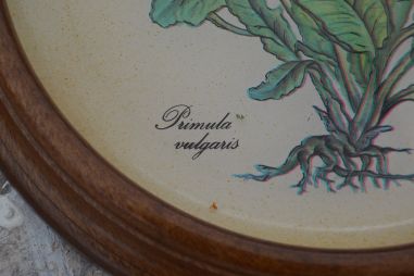 (n-8163) taimedega seinakaunistused, 2 tk komplektis