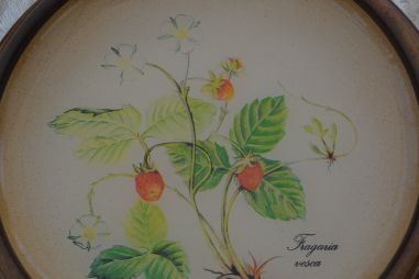 (n-8163) taimedega seinakaunistused, 2 tk komplektis