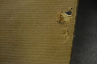 (P-1158) Viiralt trükirepro Rahutus, Rootsis välja antud trükirepro