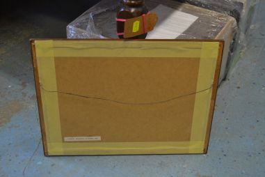 (P-1163) Viiralt, trükirepro Okaapid