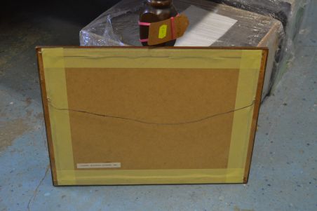 (P-1163) Viiralt, trükirepro Okaapid