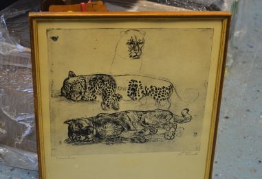 (P-1164) Viiralt, trükirepro Puuma ja panter