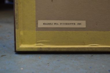 (P-1165) Viiralt, trükirepro Kaameli pea