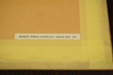 (P-1171) Viiralt, trükirepro Berberi tüdruk kaameliga