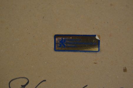 (L-897) Puitraamis seinapeegel