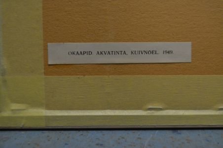 (P-1172)  Viiralt, trükirepro Okaapid