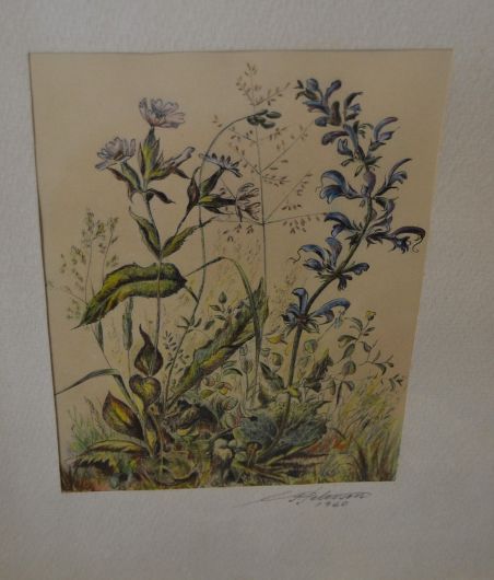 (n-8516) Taimedega autoritöö aastast 1960