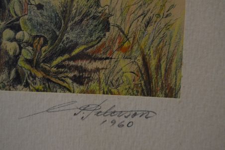 (n-8516) Taimedega autoritöö aastast 1960
