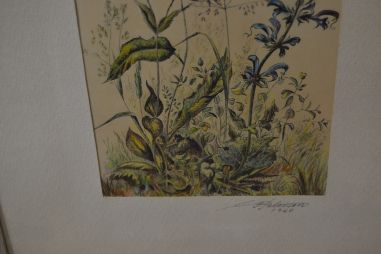 (n-8516) Taimedega autoritöö aastast 1960