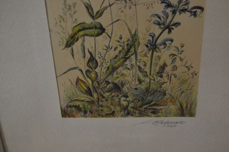 (n-8516) Taimedega autoritöö aastast 1960