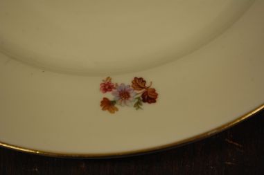 (n-8527/3) Kjoenhavns Porcellains Maleri, kreemikad praetaldrikud, 6tk