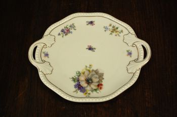 (n-8529) Rosenthal, sangadega vaagen