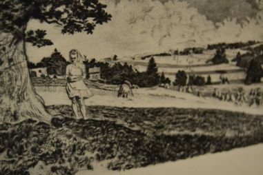 (P-1177) Viiralt, trükirepro Viljandi maastik