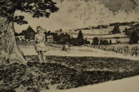 (P-1177) Viiralt, trükirepro Viljandi maastik