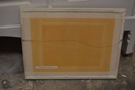 (P-1177) Viiralt, trükirepro Viljandi maastik