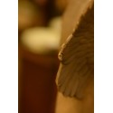 (7-579) Suur ingli kuju, signeeringuga
