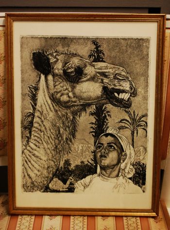 (P-871) Viiralt, trükirepro Berberi tüdruk kaameliga