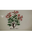 (n-5678) Irabia, taimedega ovaalne vaagen "Rododendron"